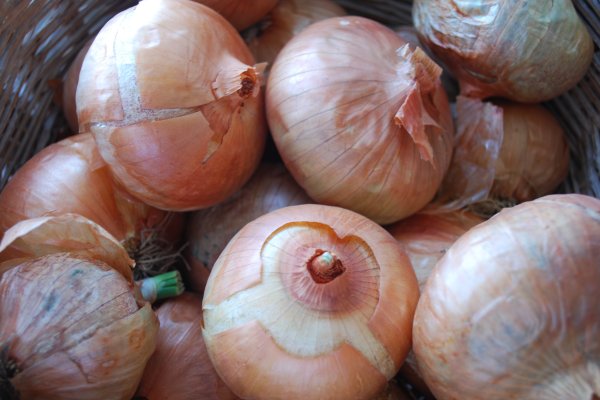 Кракен сайт ссылка на кракен onion